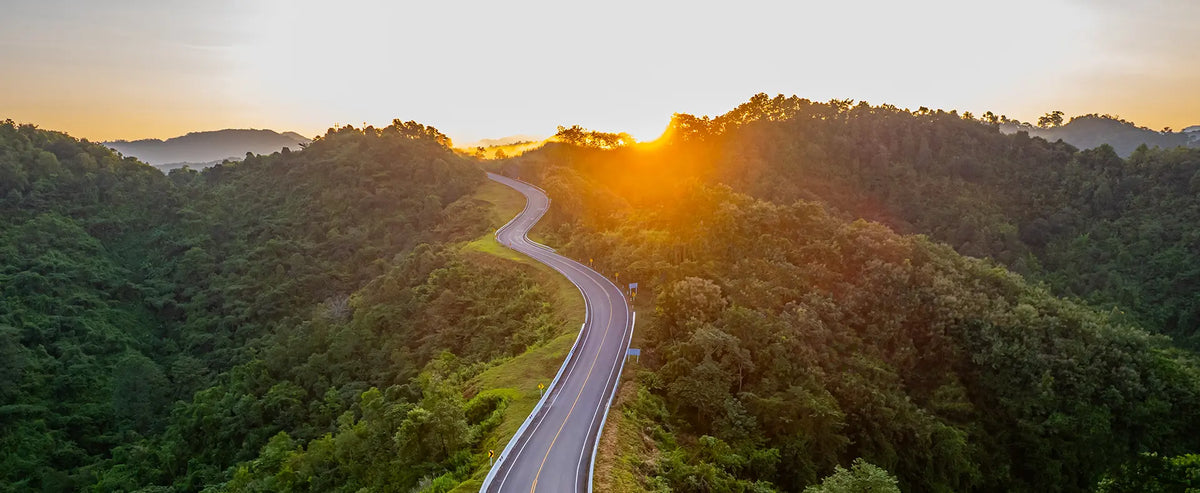 Aerial view of a winding forest road at sunrise